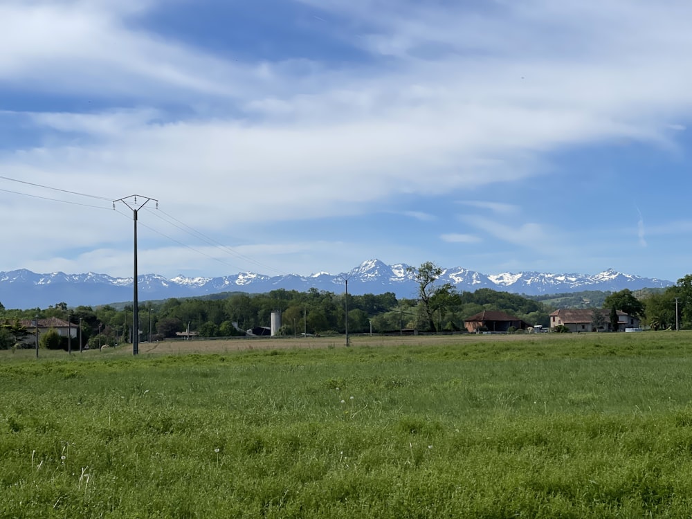 a field with a telephone pole in the foreground and a mountain range in the