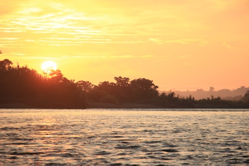 A serene landscape of a golden sunset over a quiet forest lake.