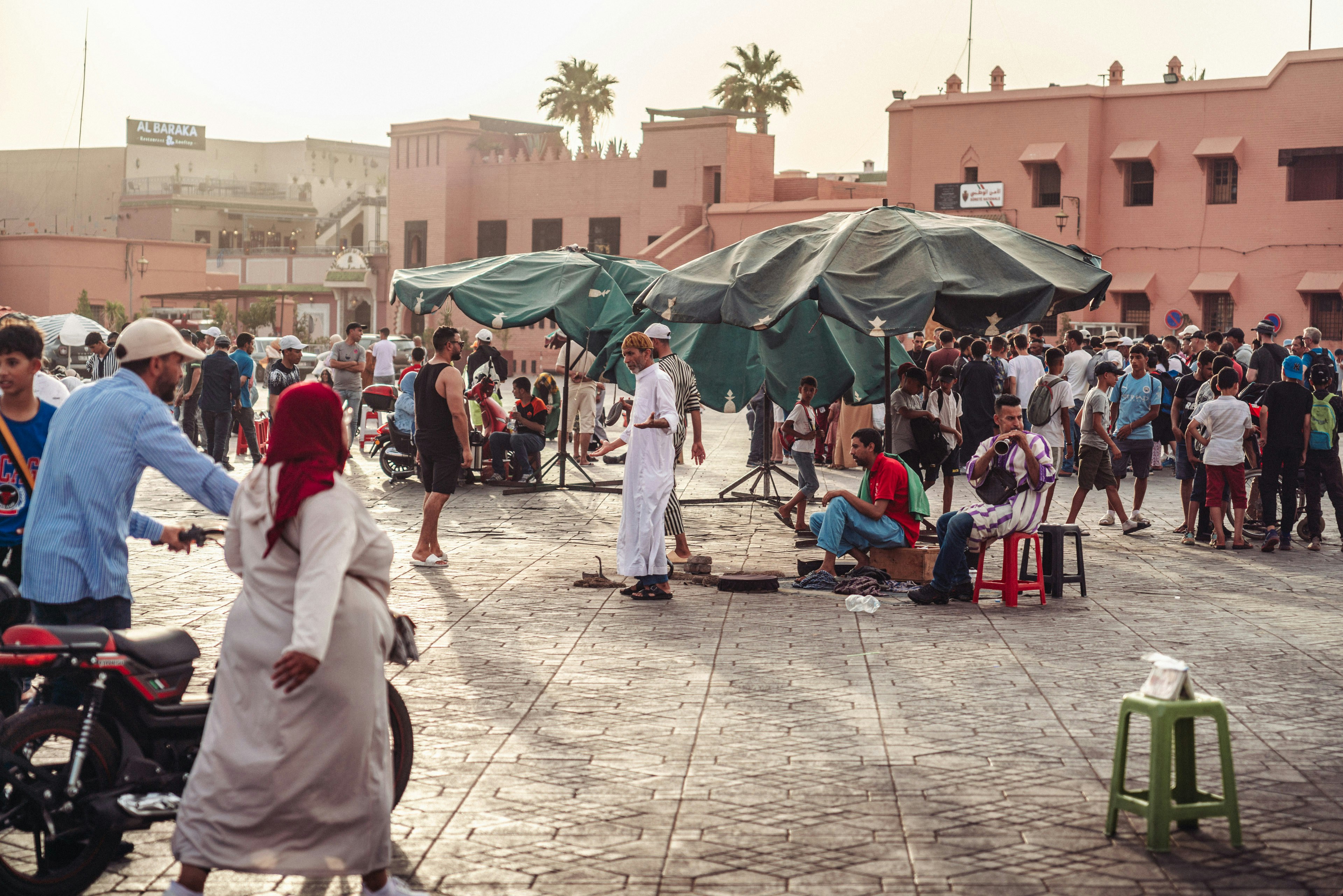 Urban Farming Workshops in Morocco: Learn to Grow Your Own Food