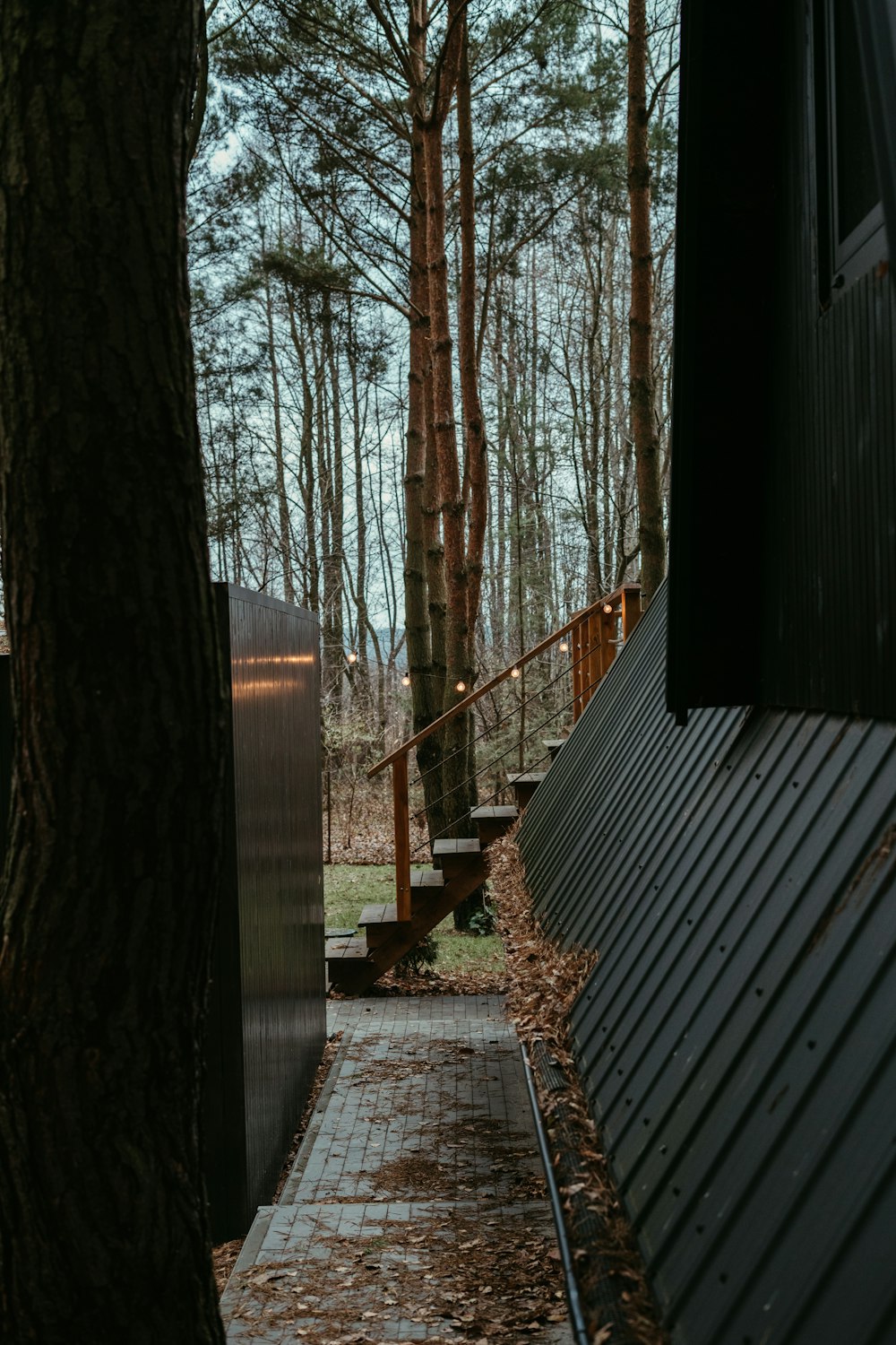 a walkway leading to a house in the woods