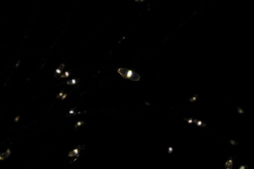 Close-up of a fabric embedded with tiny LED lights glowing softly.