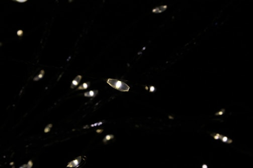 A serene dark background with scattered tiny lights resembling stars or fireflies.