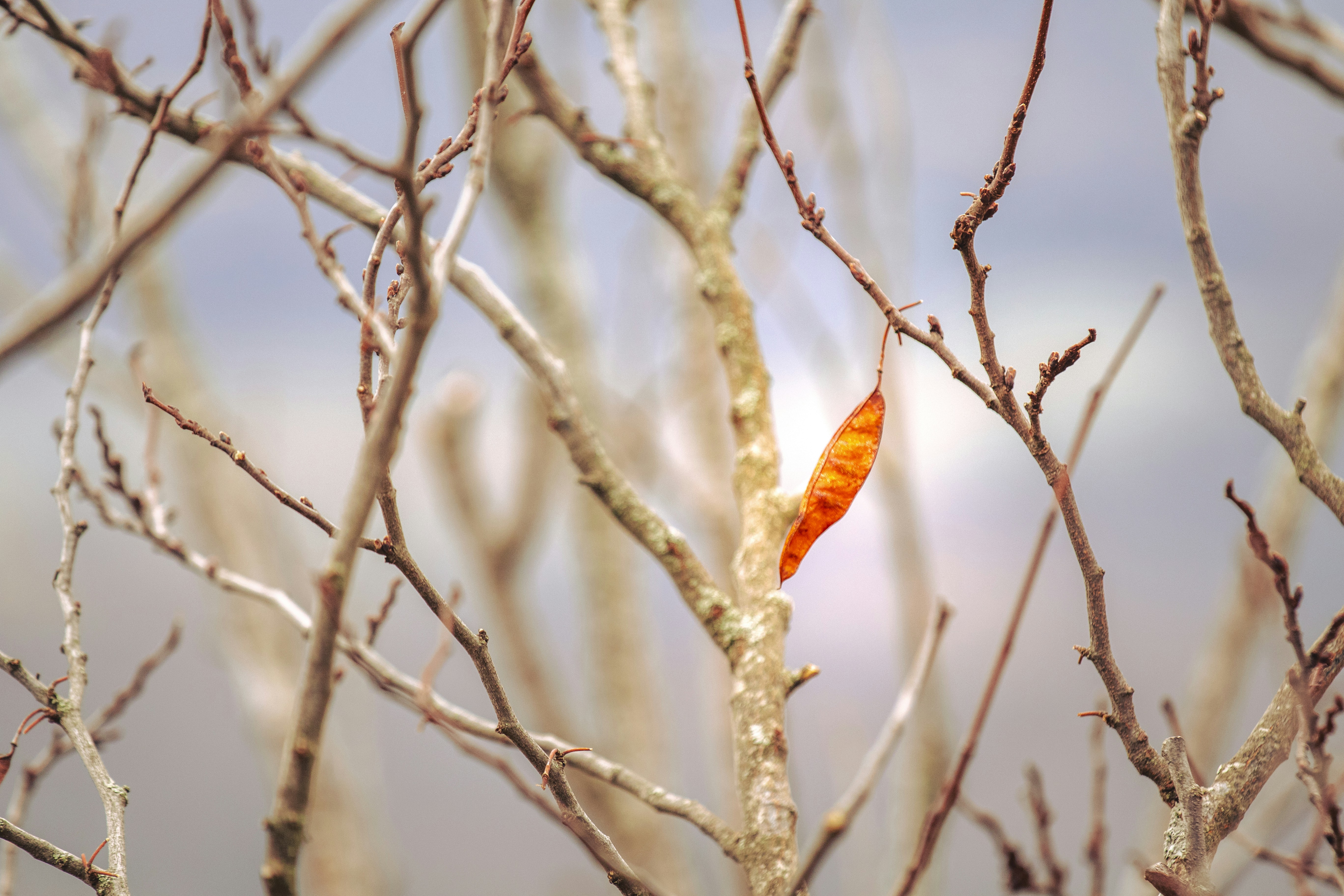 Photo by mattia_poli_04