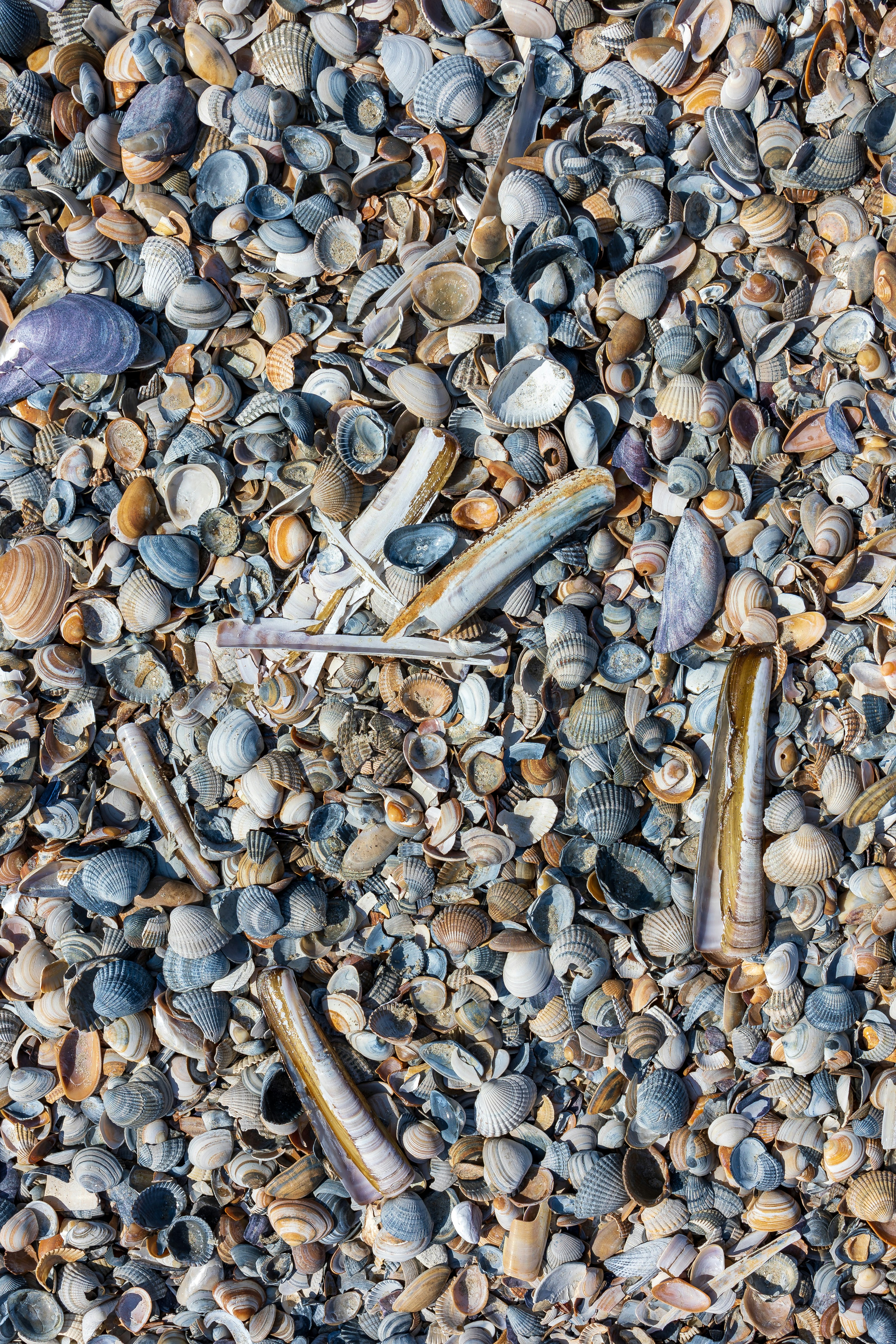 Photo by marvinradke