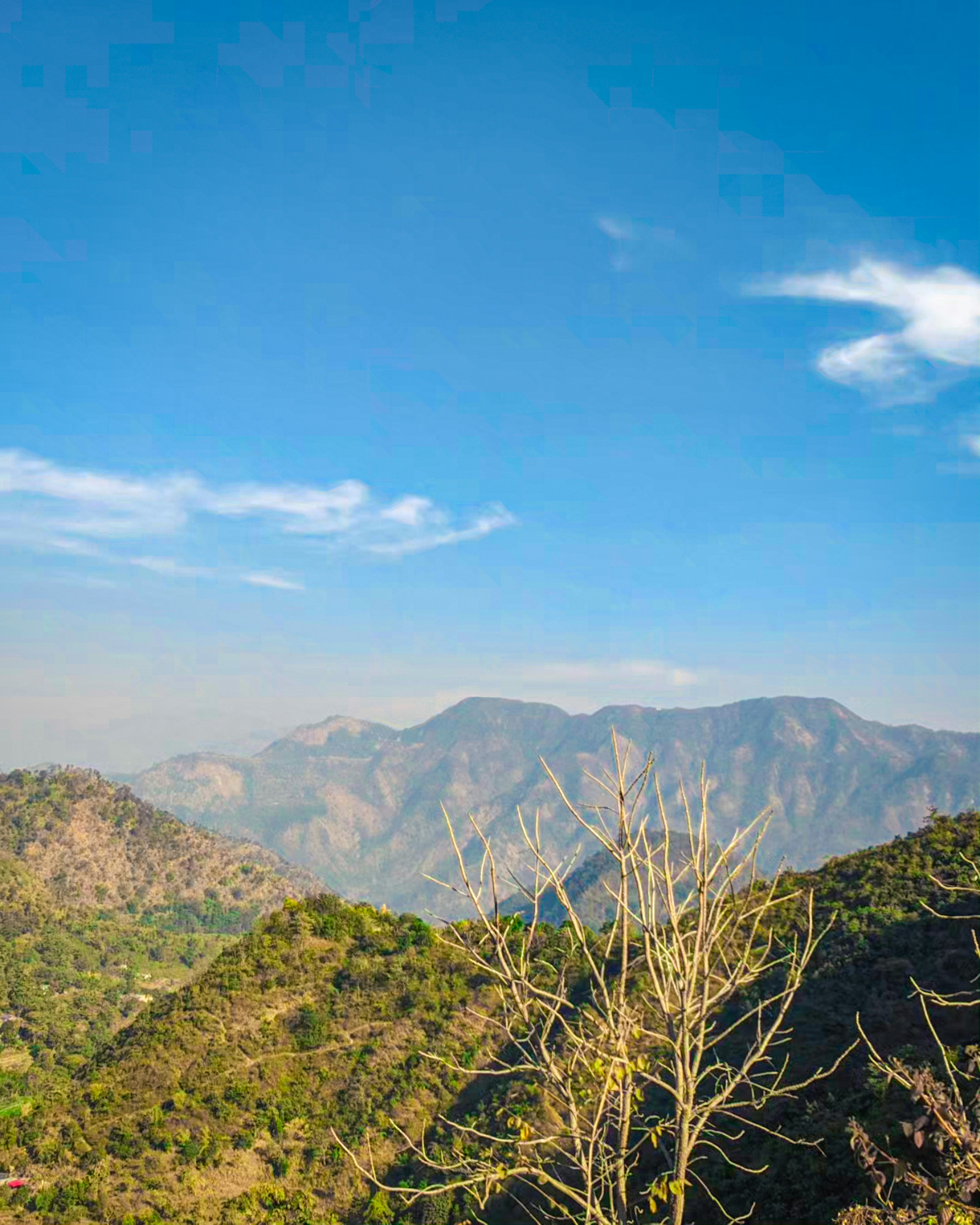 Photo by mishra_brijesh