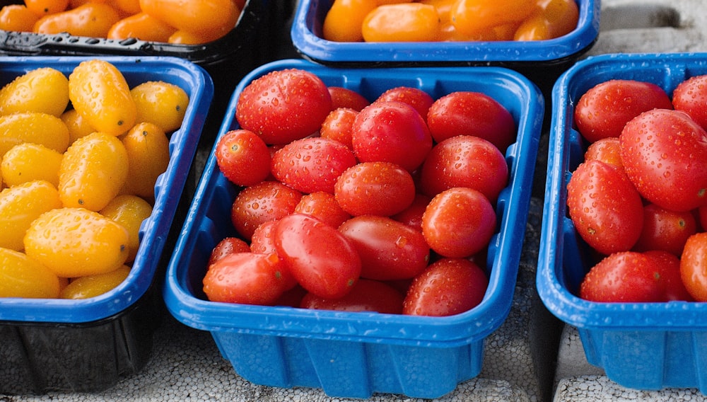 several plastic containers filled with different types of fruit