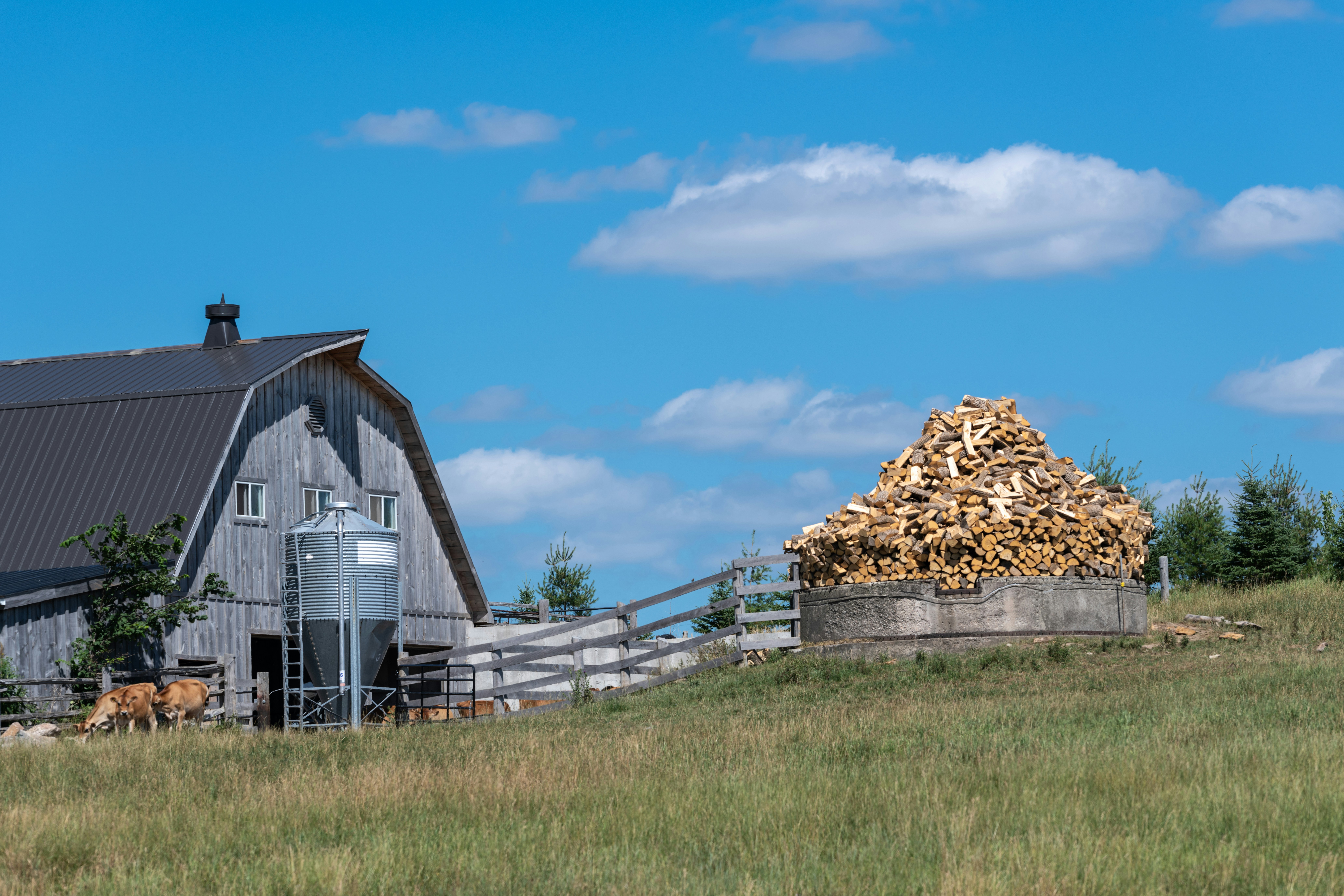 a barn with a pile of wood in front of it
