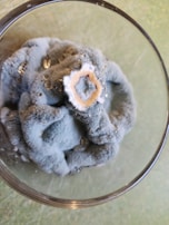 A fuzzy, blue-gray mold has formed in a circular pattern on the surface of a liquid in a clear glass container. The mold has a central off-white spot, and there are some small droplets of liquid visible on its surface.