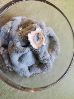 A fuzzy, blue-gray mold has formed in a circular pattern on the surface of a liquid in a clear glass container. The mold has a central off-white spot, and there are some small droplets of liquid visible on its surface.