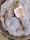 A close-up of mold growth with a circular pattern in shades of grey and blue, featuring a central area with a distinct peach and white outline. Small droplets of moisture are scattered across the fuzzy surface, giving it a textured appearance.