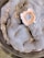 A close-up of mold growth with a circular pattern in shades of grey and blue, featuring a central area with a distinct peach and white outline. Small droplets of moisture are scattered across the fuzzy surface, giving it a textured appearance.