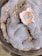 A close-up of mold growth with a circular pattern in shades of grey and blue, featuring a central area with a distinct peach and white outline. Small droplets of moisture are scattered across the fuzzy surface, giving it a textured appearance.
