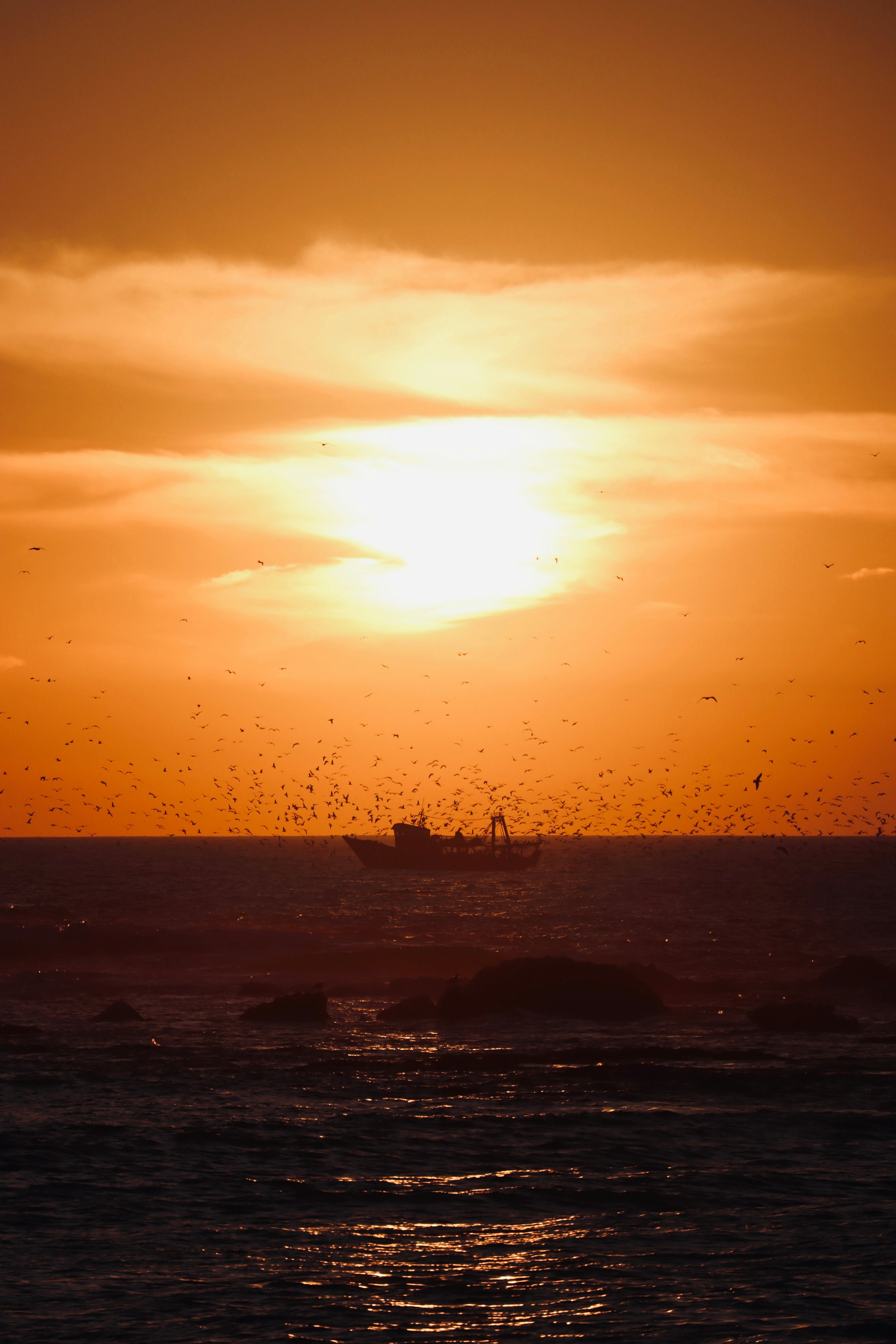 Photo by paleonard04