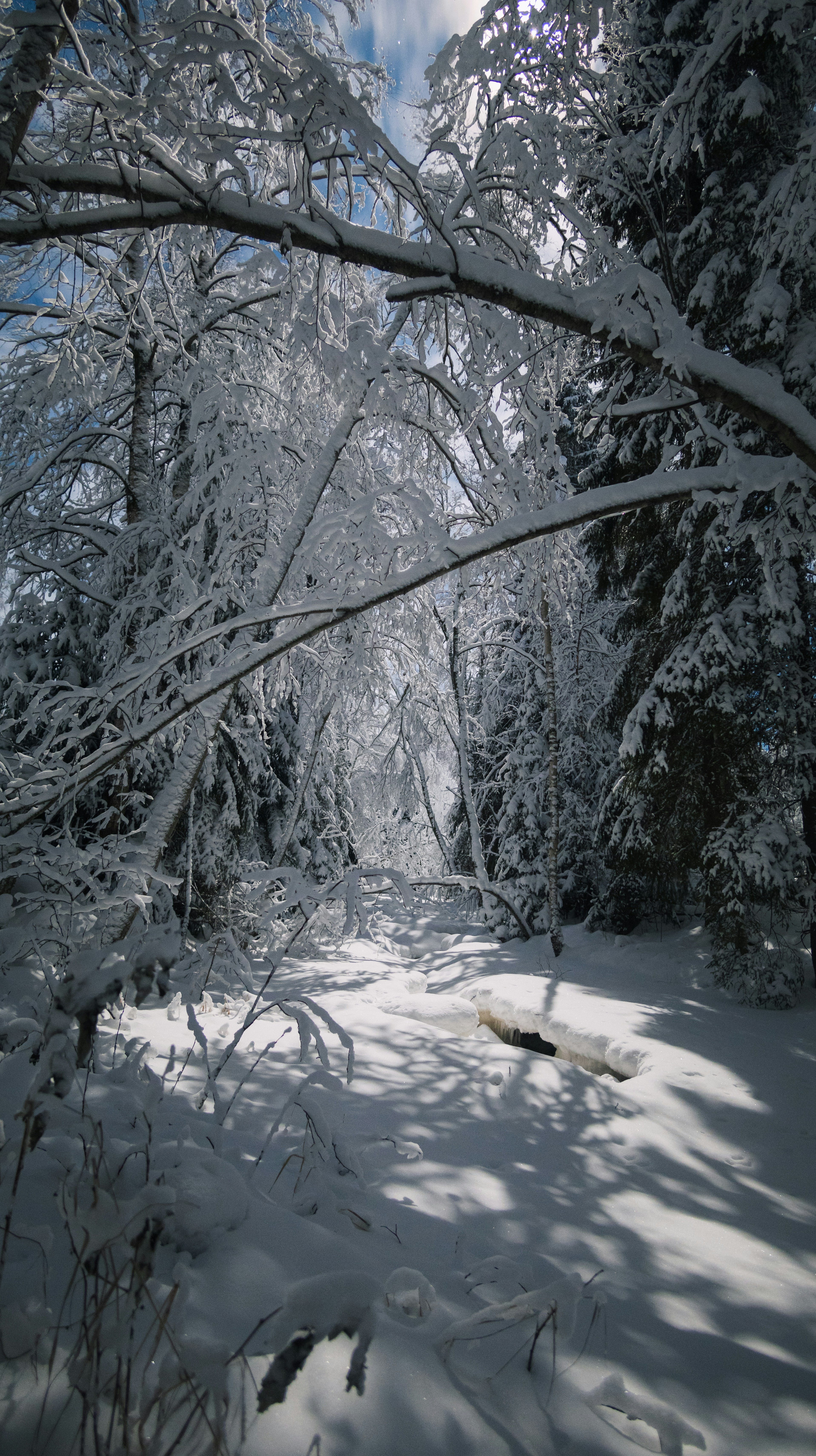 Photo by juho_aleksi_luomala