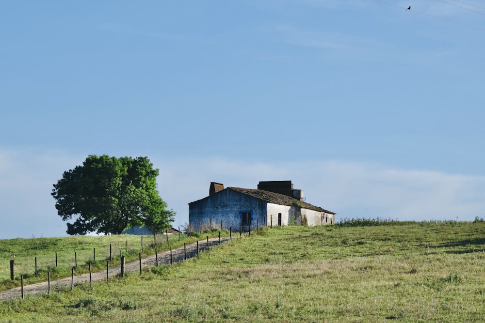 a house on a hill with a tree in the foreground