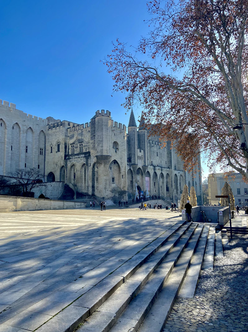 Avignon, 84000 Vaucluse - Palais des Papes