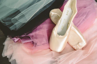 a pair of ballet shoes sitting on top of tulle fabric