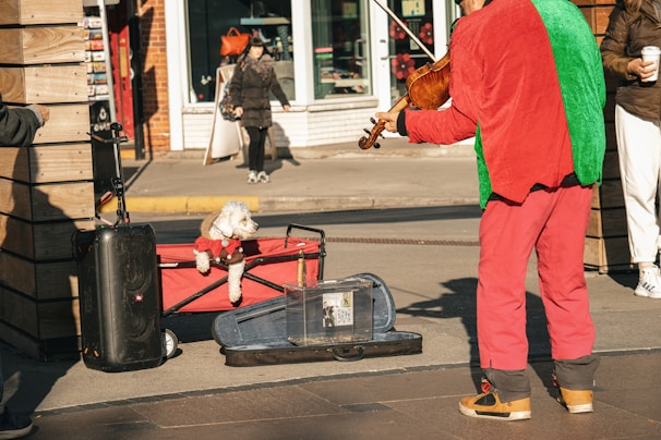 A street performer dressed in a colorful red and green outfit plays a violin. Nearby, a small white dog in a red coat sits in a red wagon. A speaker and an open violin case are placed on the ground, suggesting a performance setting. Pedestrians walk by in the background, with a storefront visible.