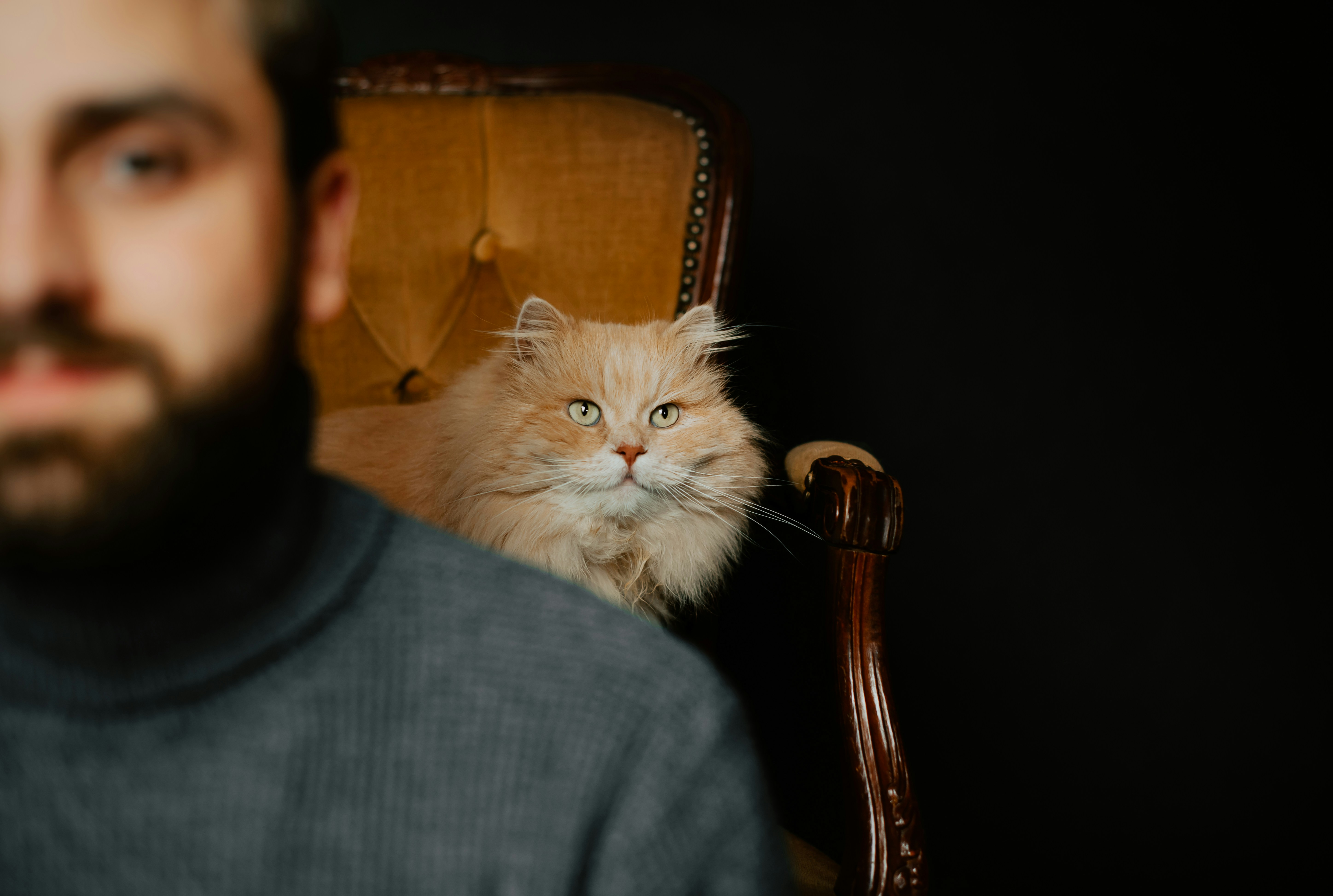 Elegant customer portrait