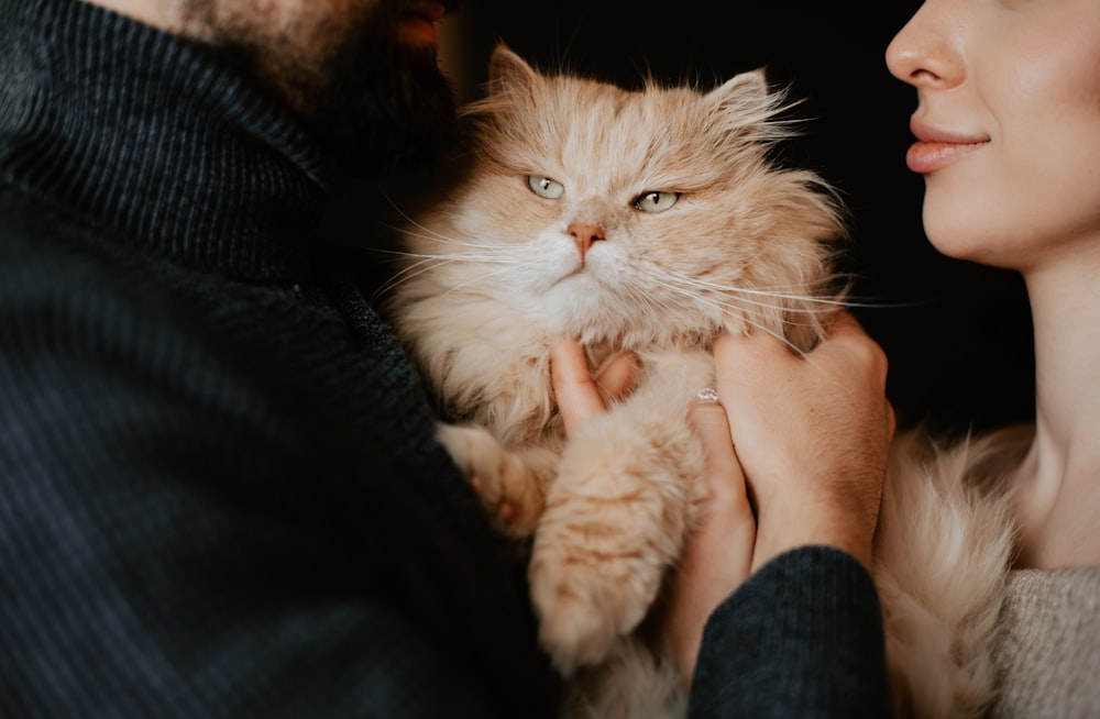 a close up of a person holding a cat