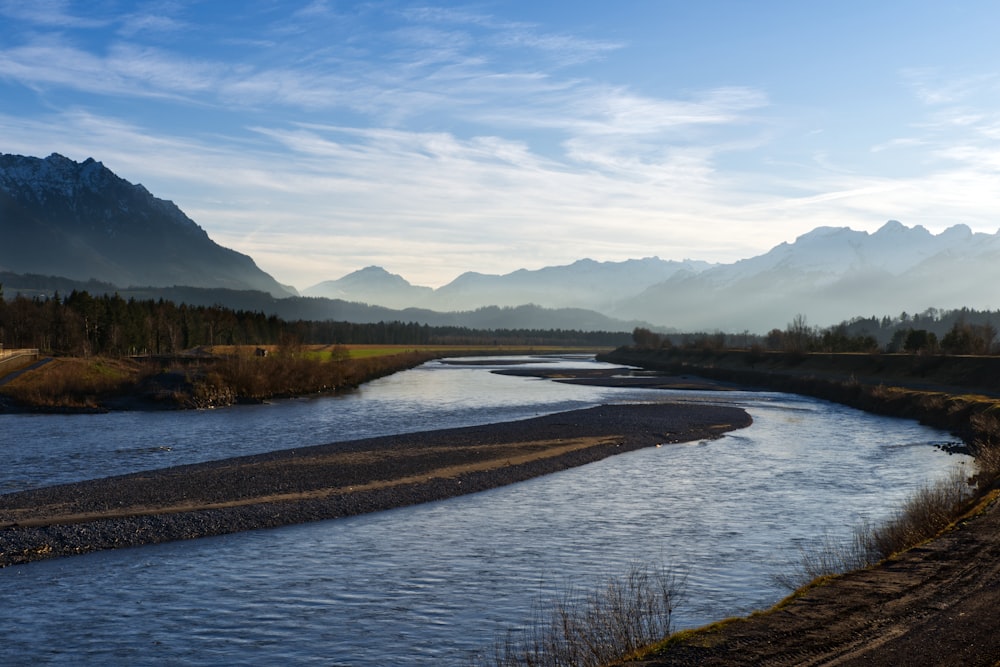 Un río que atraviesa un frondoso bosque verde