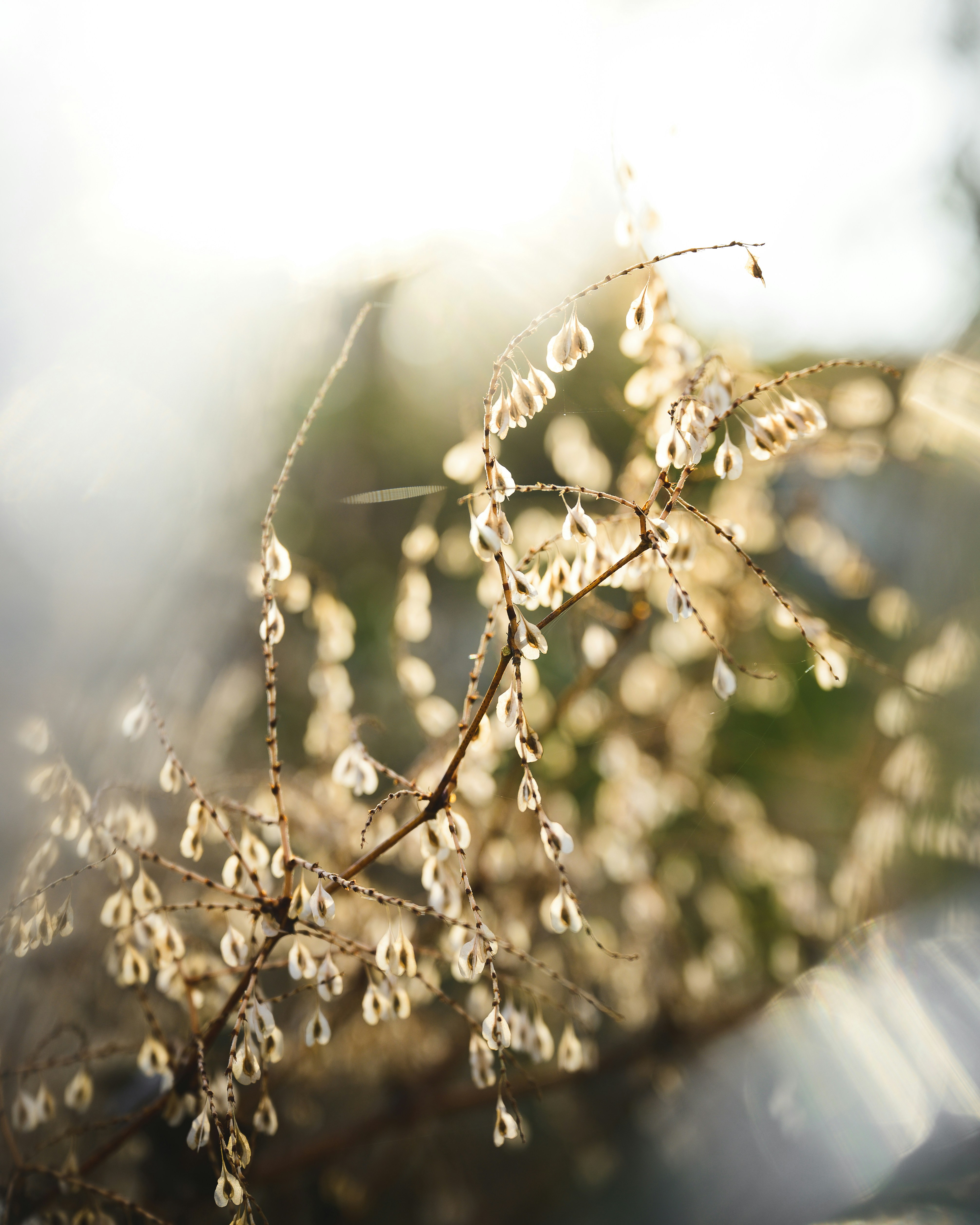 Photo by aimeejcreative