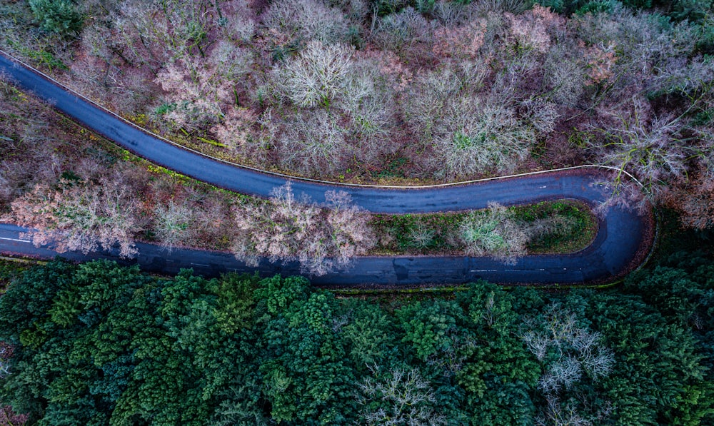 Uma estrada sinuosa no meio de uma floresta