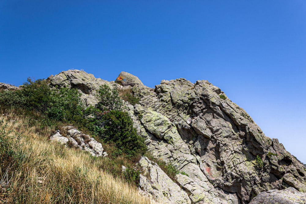 a rocky mountain with grass and bushes growing on it