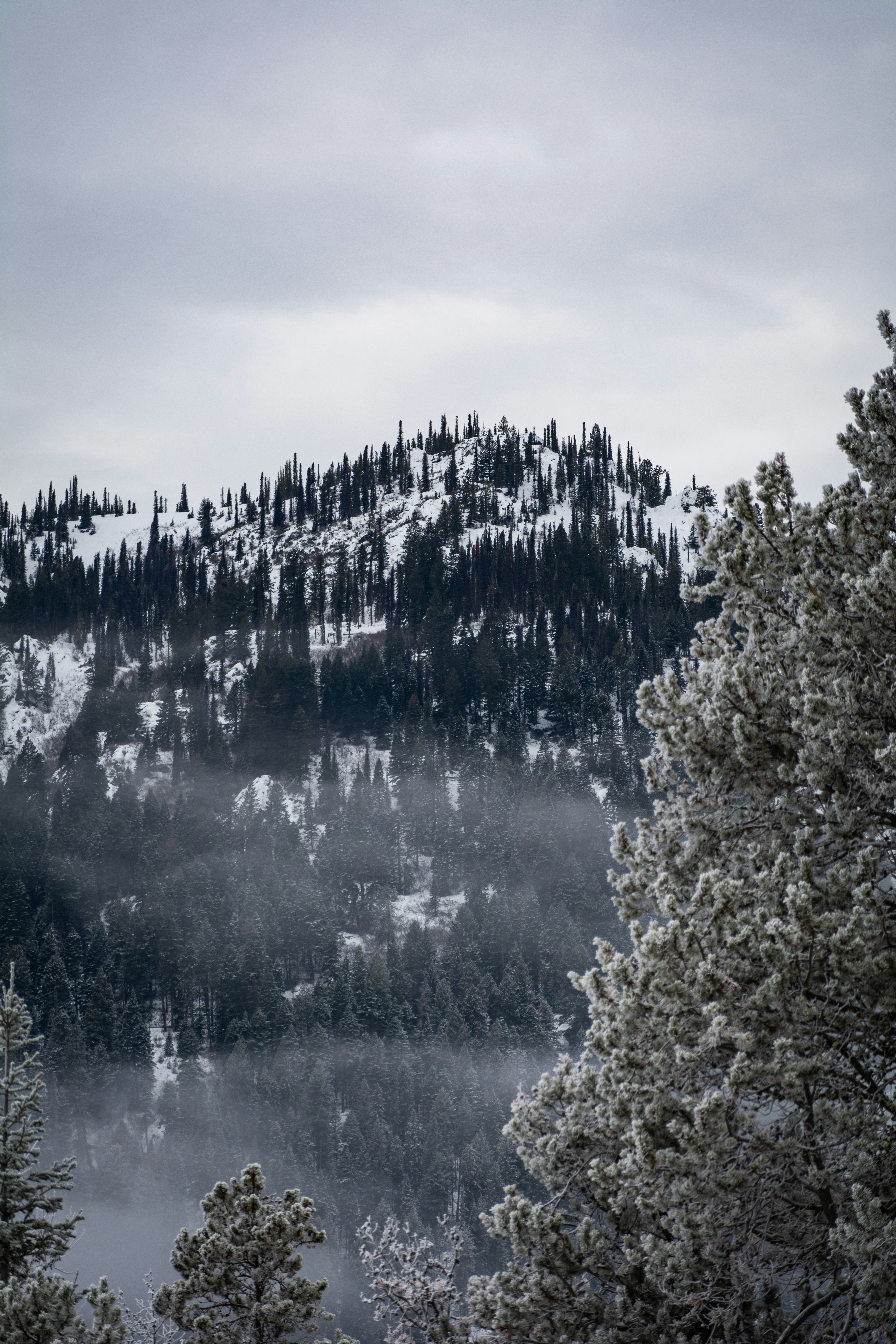 Photo by ethan_olarte