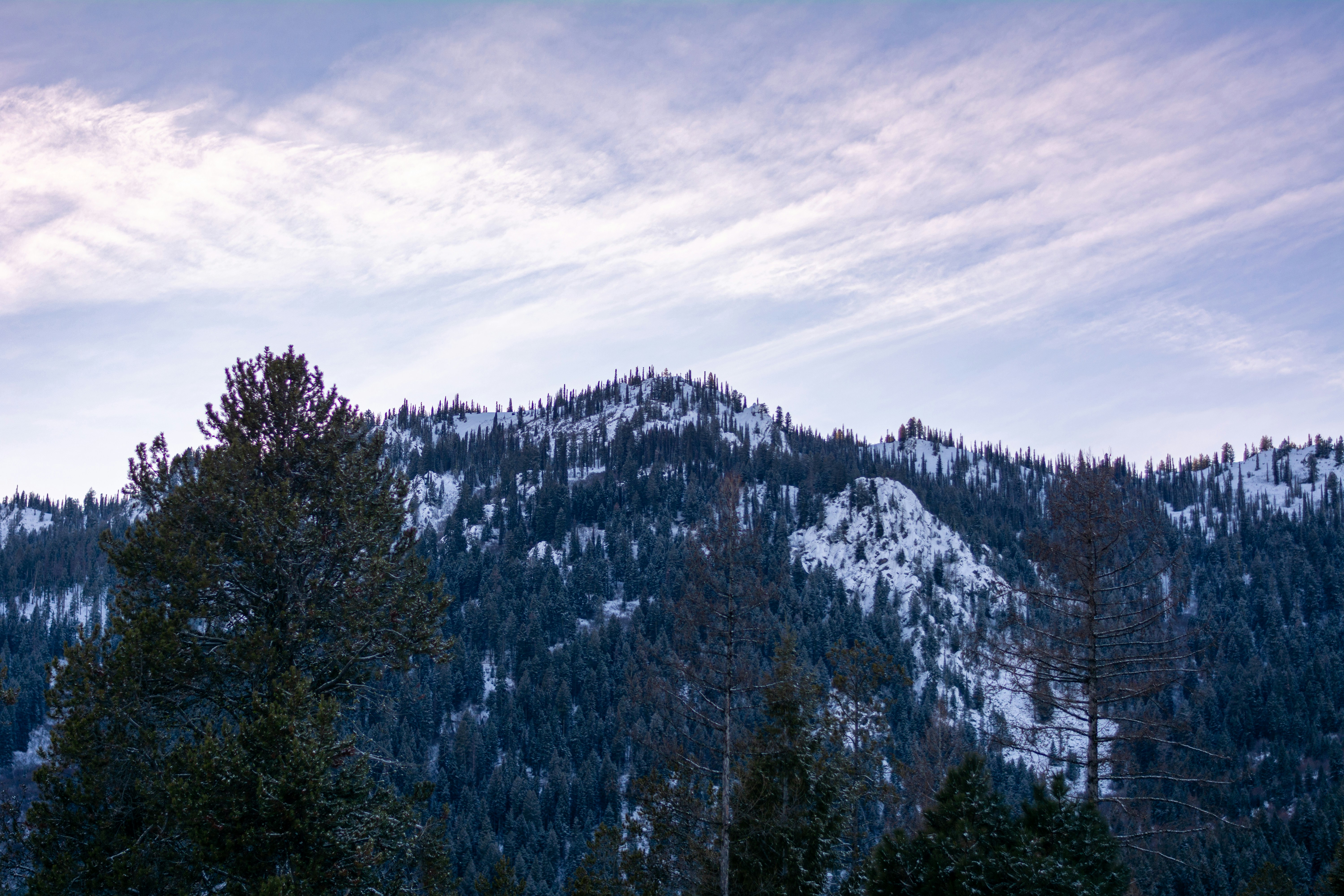 Photo by ethan_olarte