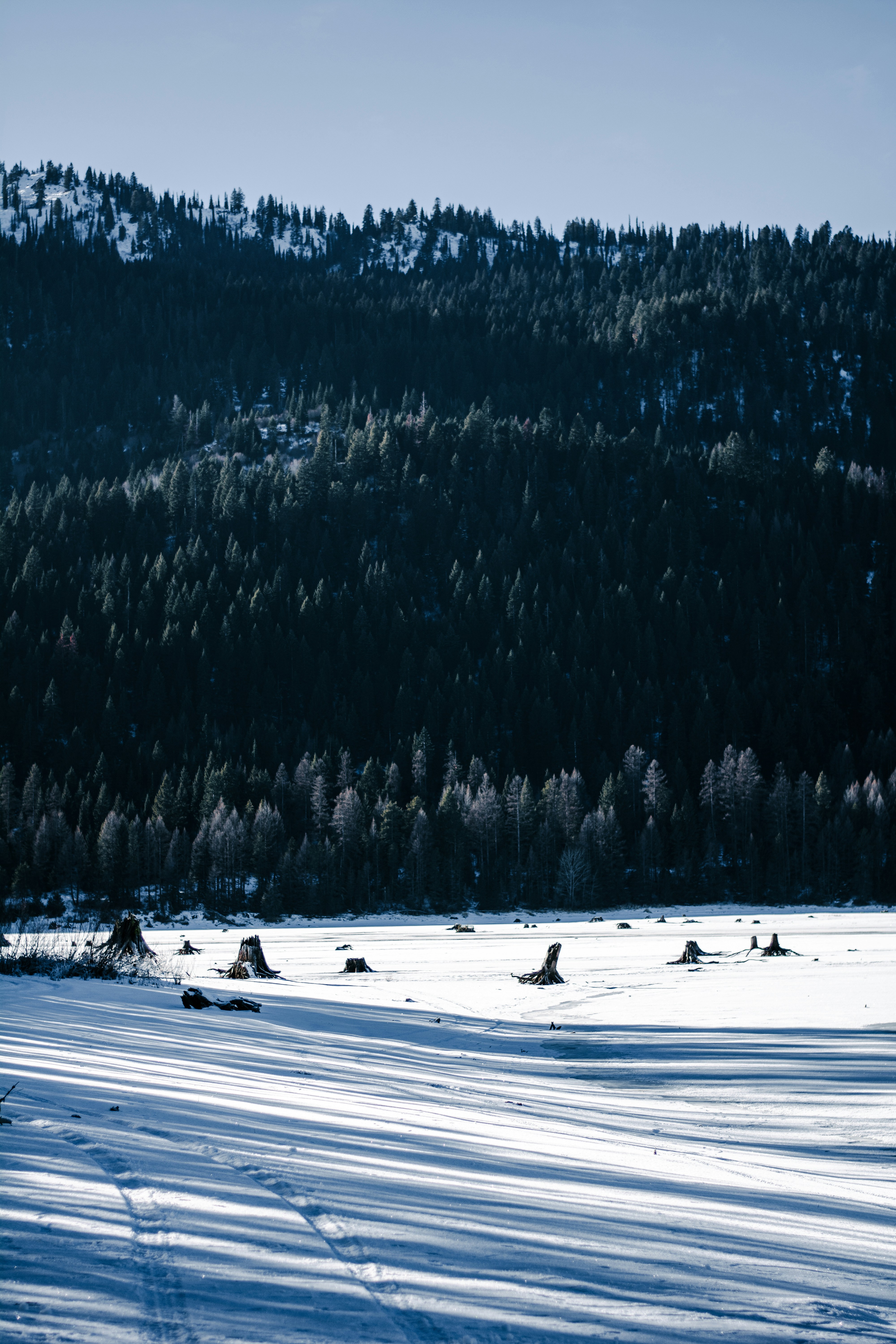 Un gruppo di persone che vanno con gli sci su un campo innevato