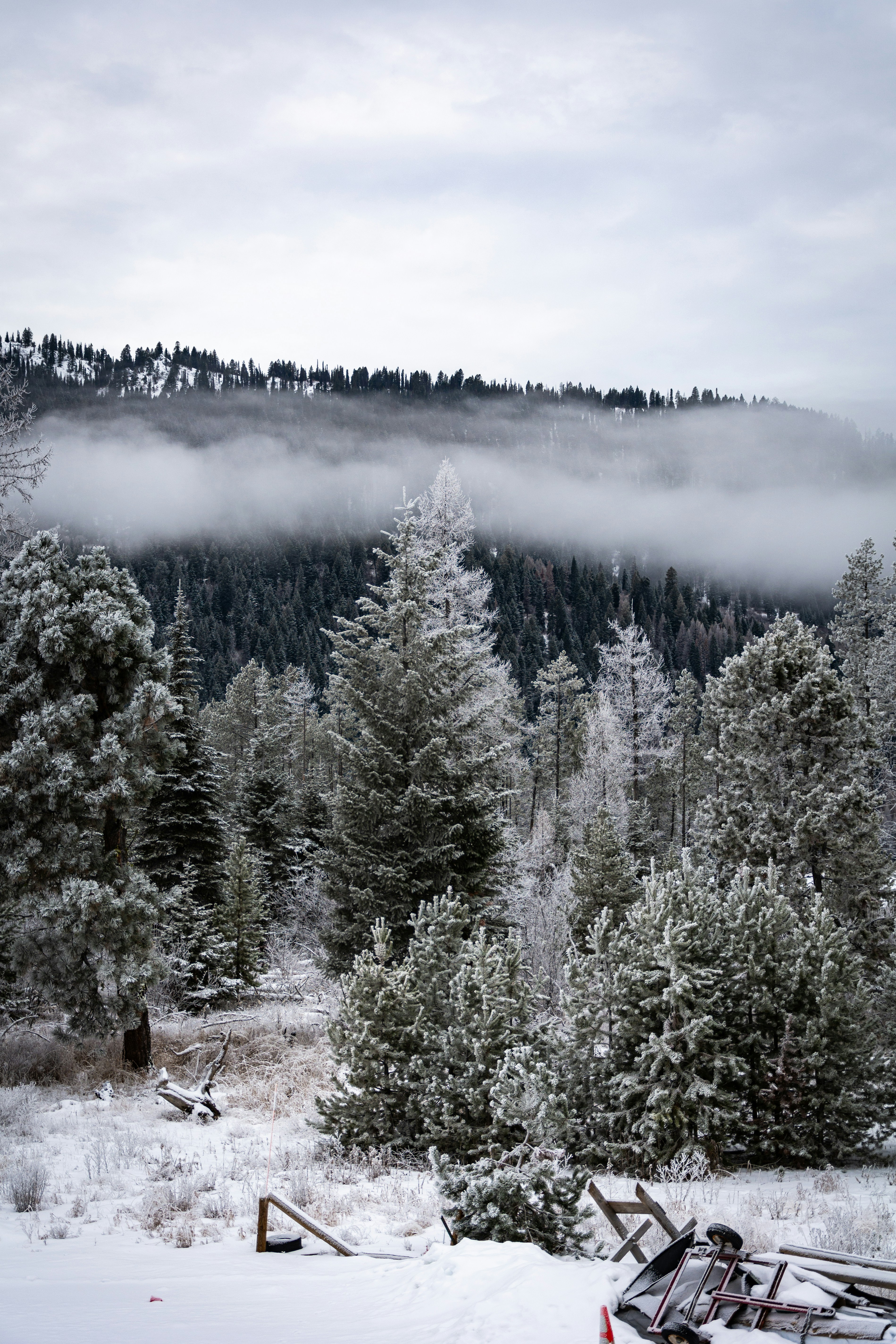 Photo by ethan_olarte