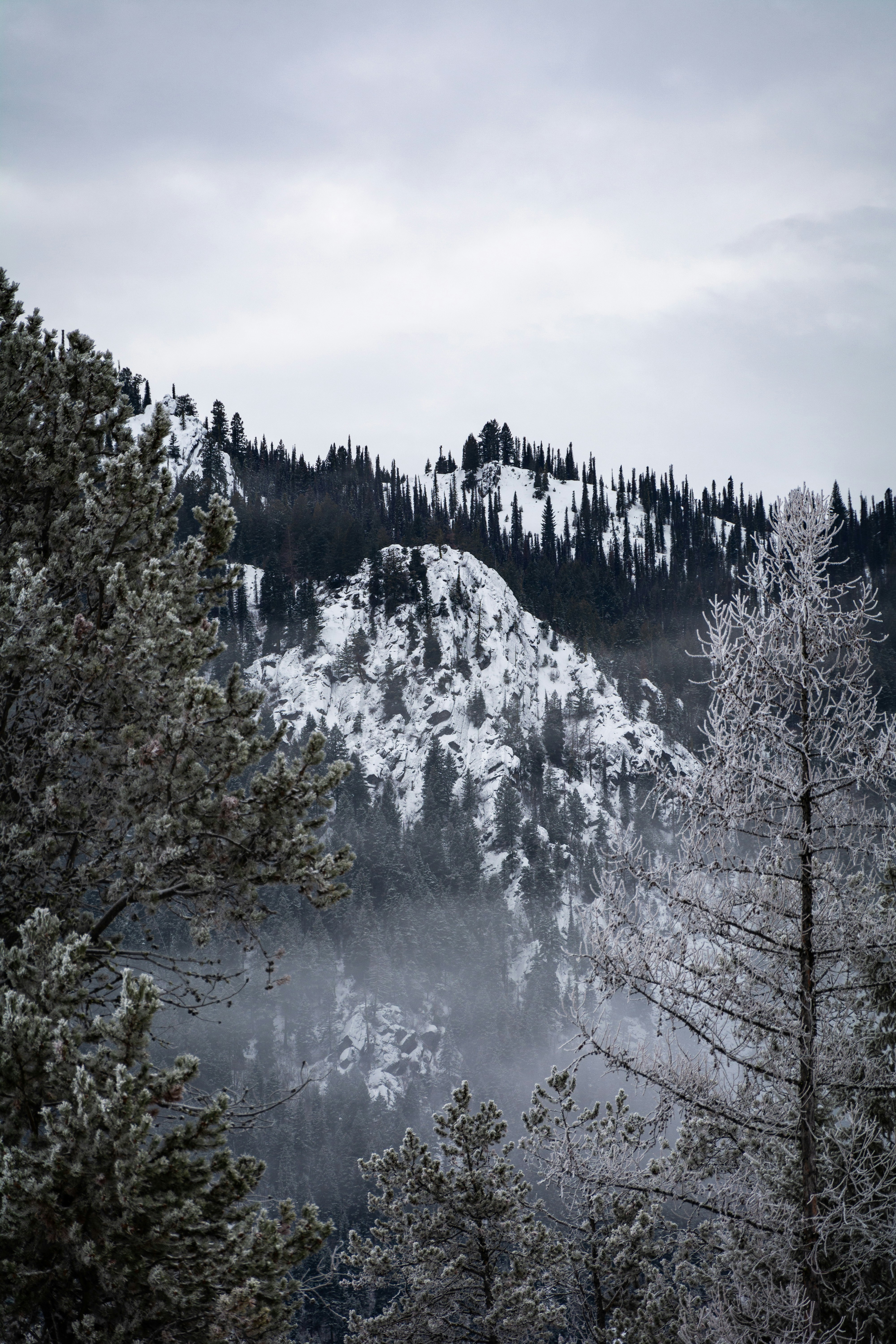 Photo by ethan_olarte