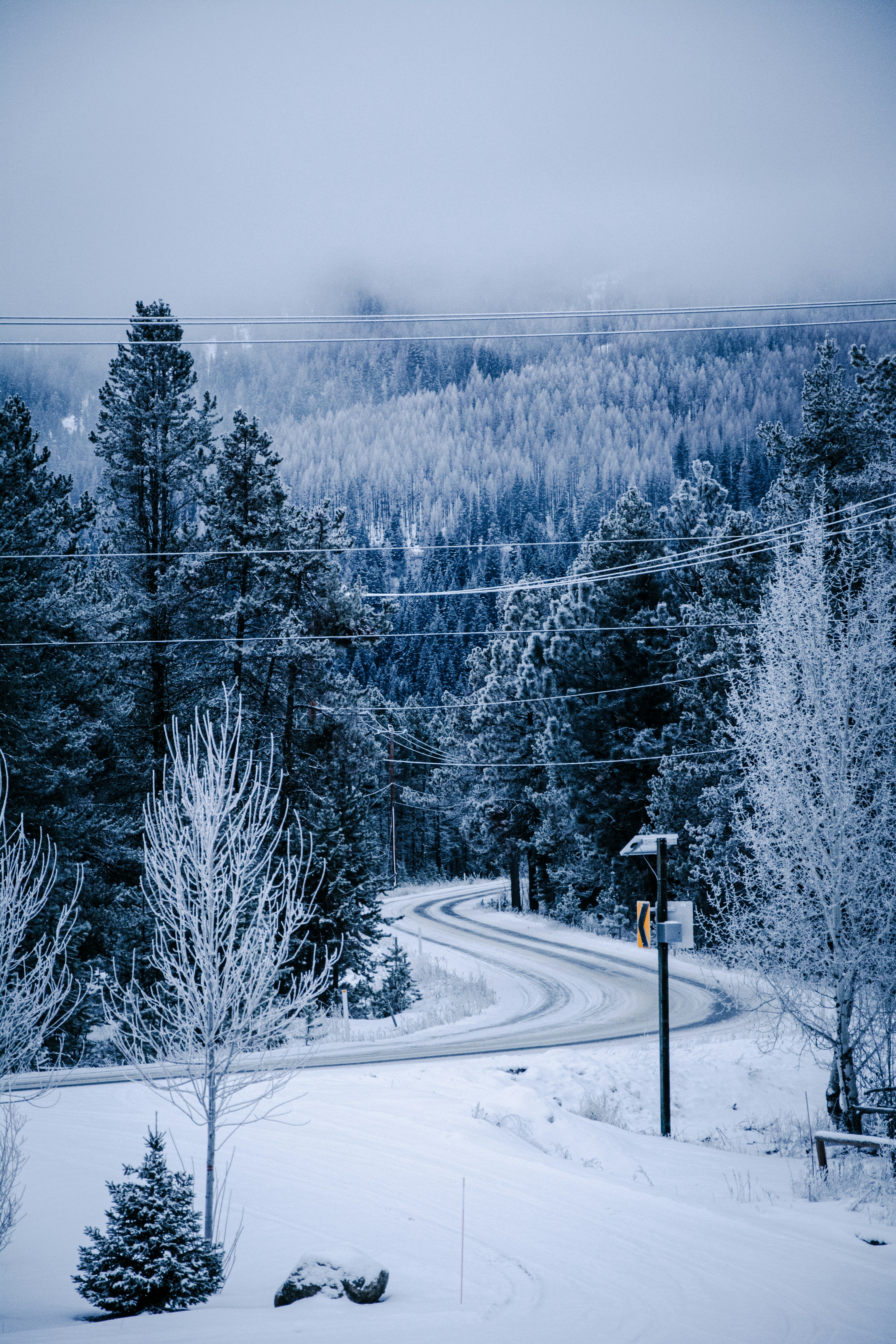una strada in mezzo a una foresta innevata