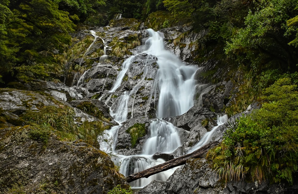 a large waterfall in the middle of a forest