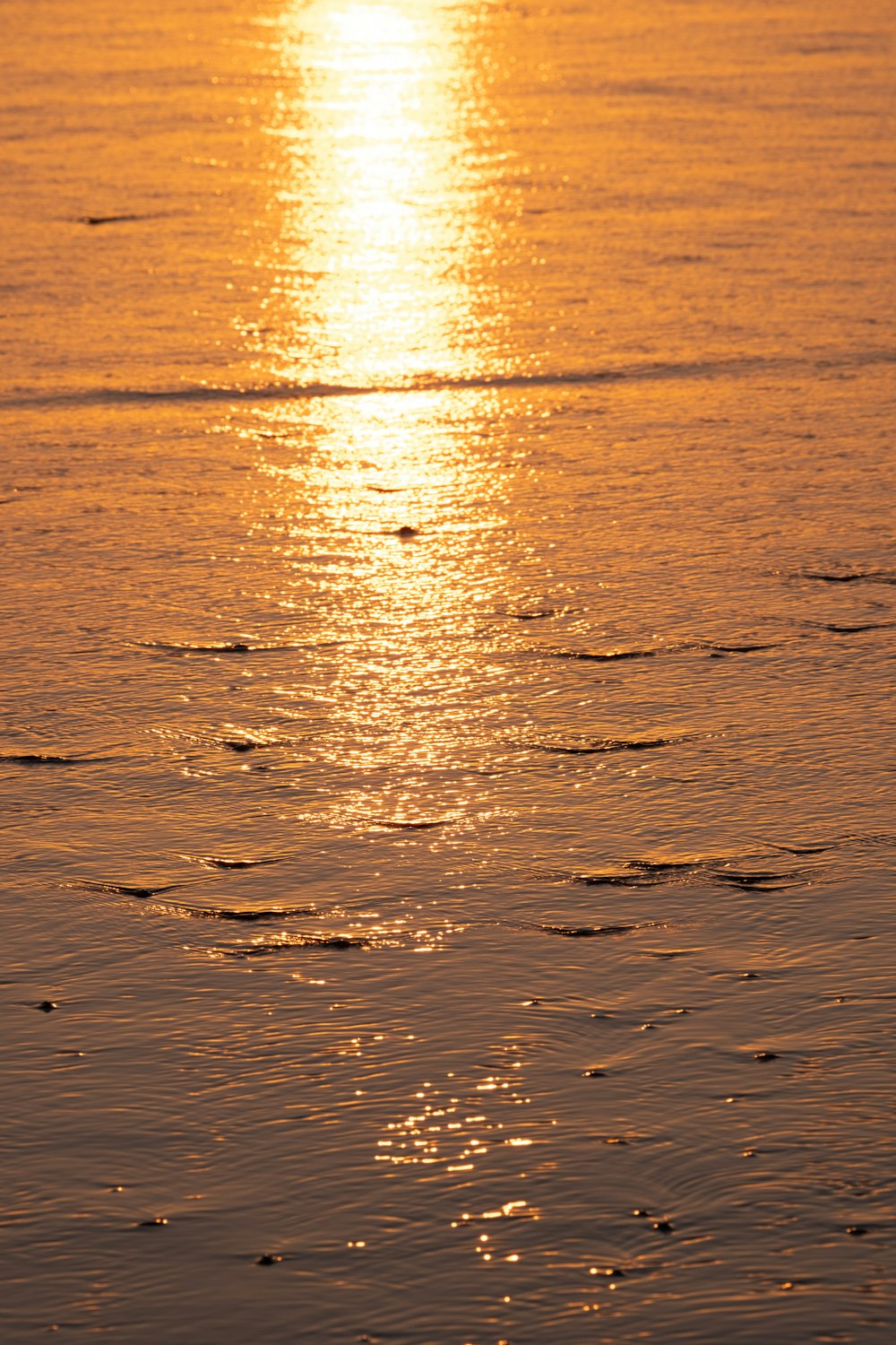 a person riding a surfboard on top of a body of water