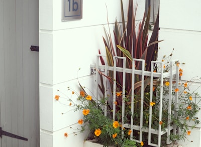 A small, neatly arranged garden space with a variety of lush, elongated leaves and vibrant orange flowers. The plants are enclosed by a modern, minimalistic white metal fence. Nearby, a white wall and a door with a house number sign add a clean architectural element.