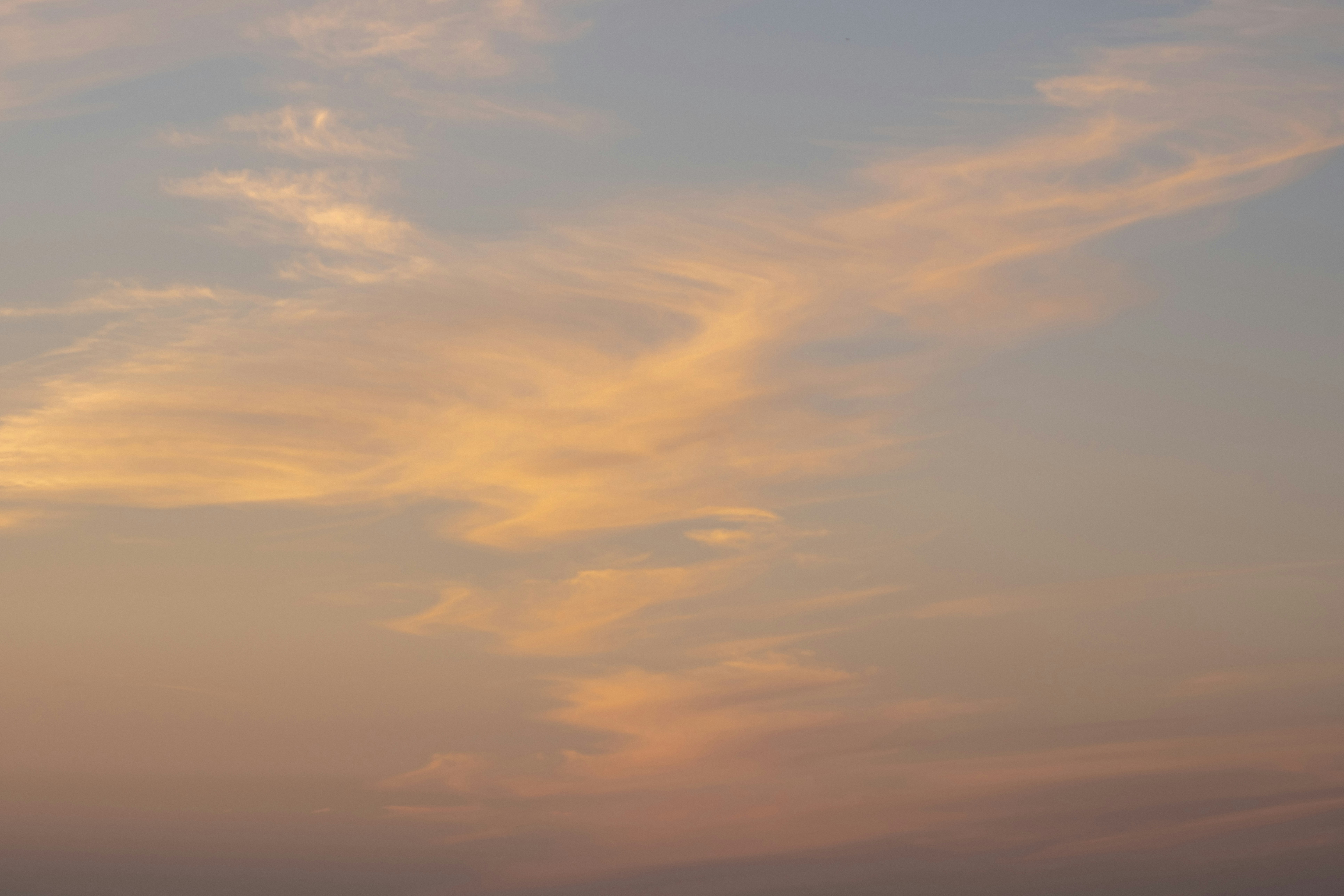 Photo by cestmoisheedy