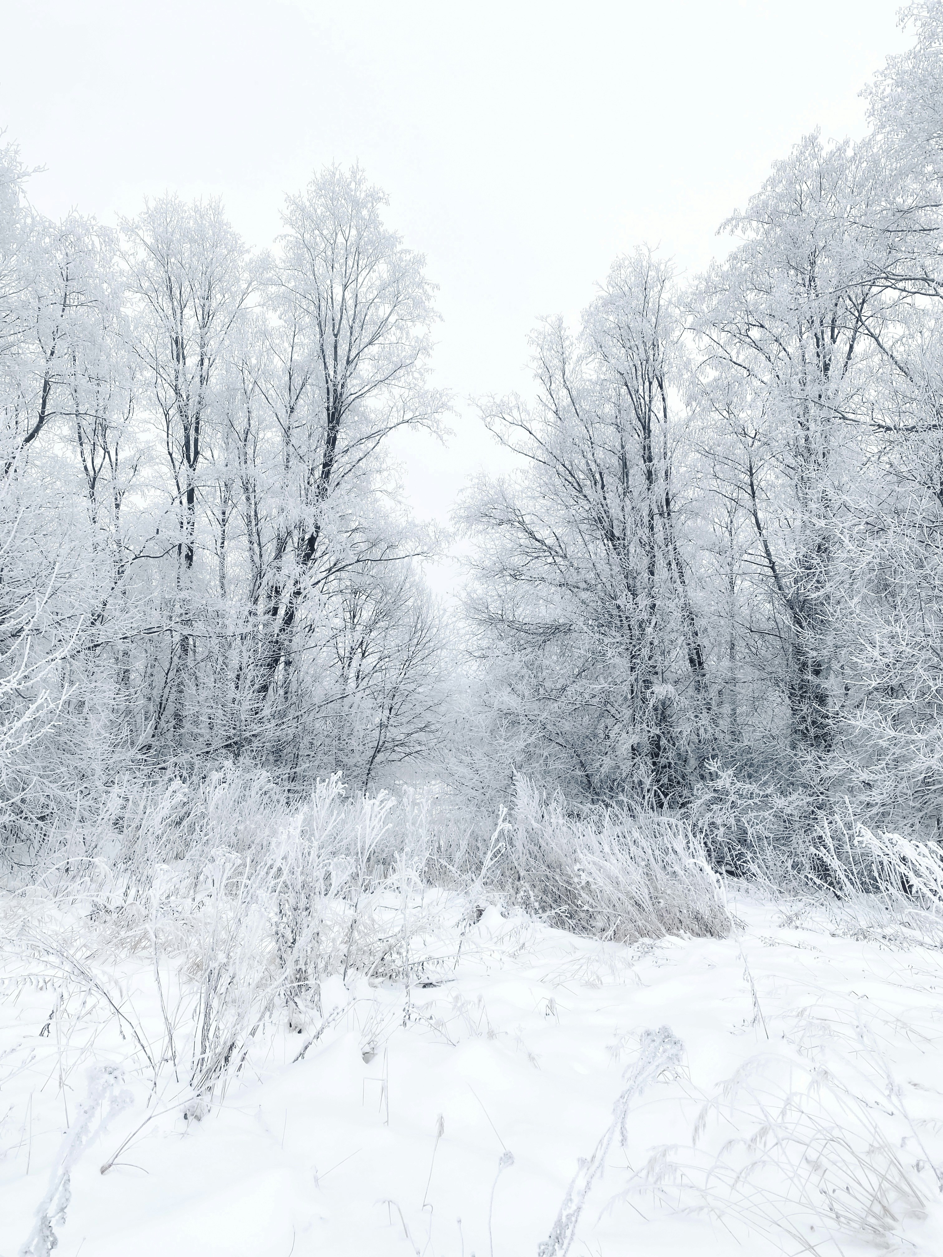 Photo by eugene_golovesov