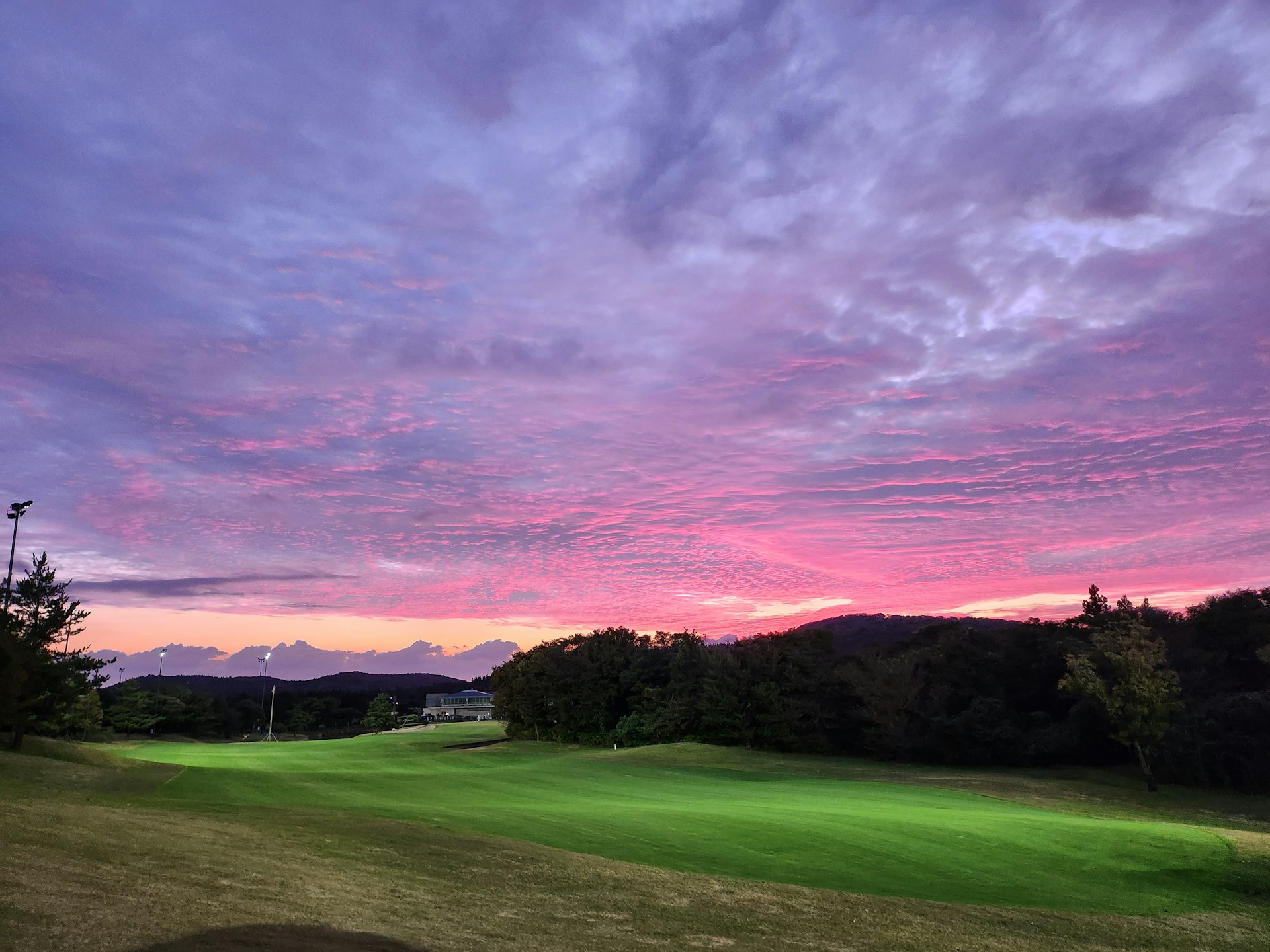 woman wearing yellow long-sleeved dress under white clouds and blue sky during daytime