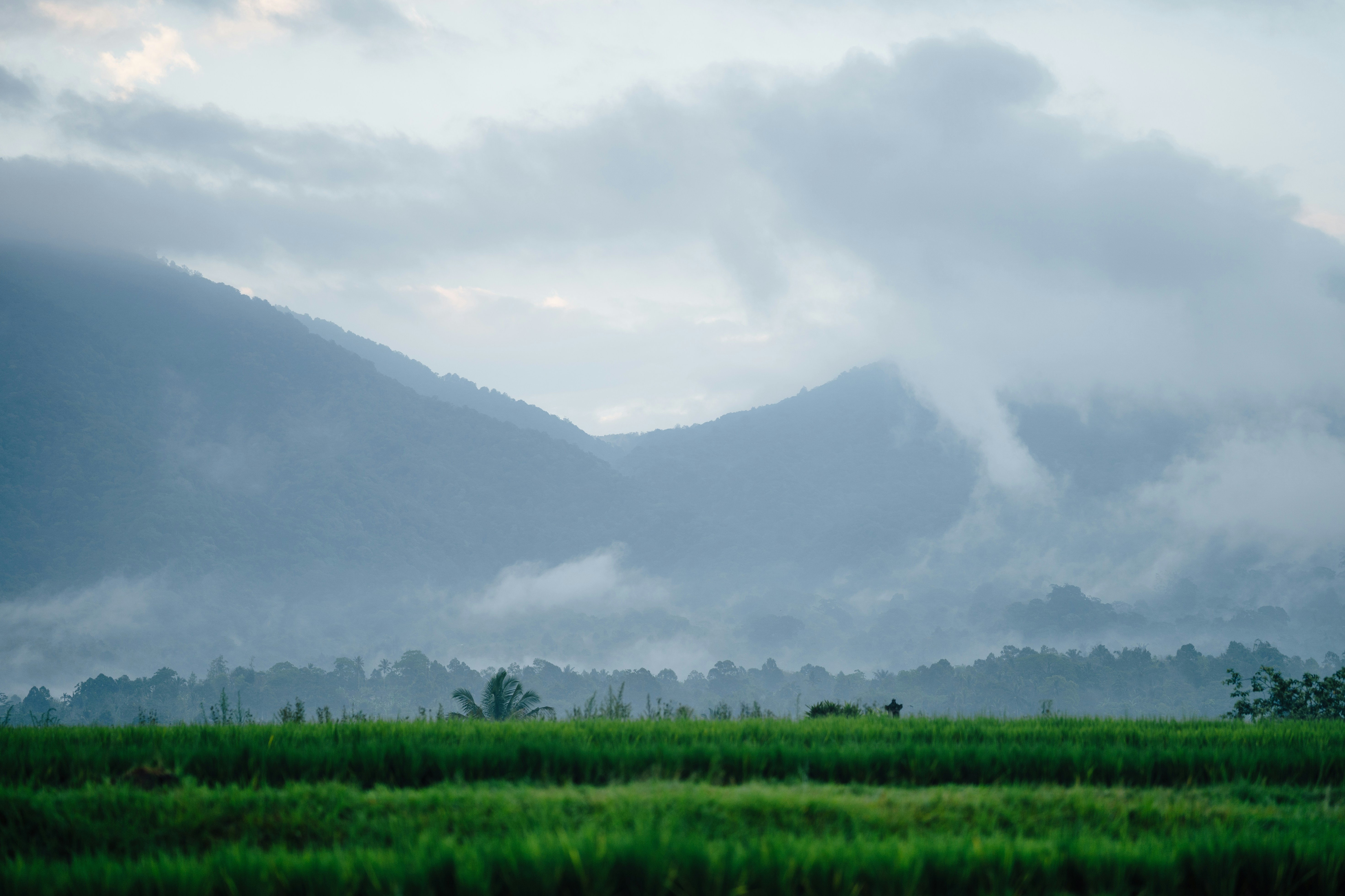 Photo by spensersembrat