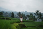 a woman in a white dress standing in a green field