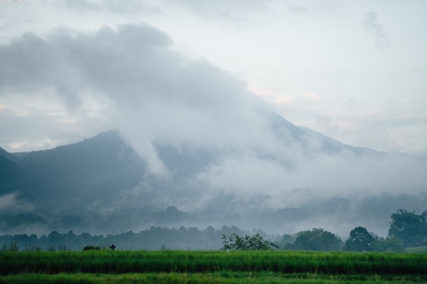 A serene mountain landscape in Tetebatu with lush green forests and misty hills.