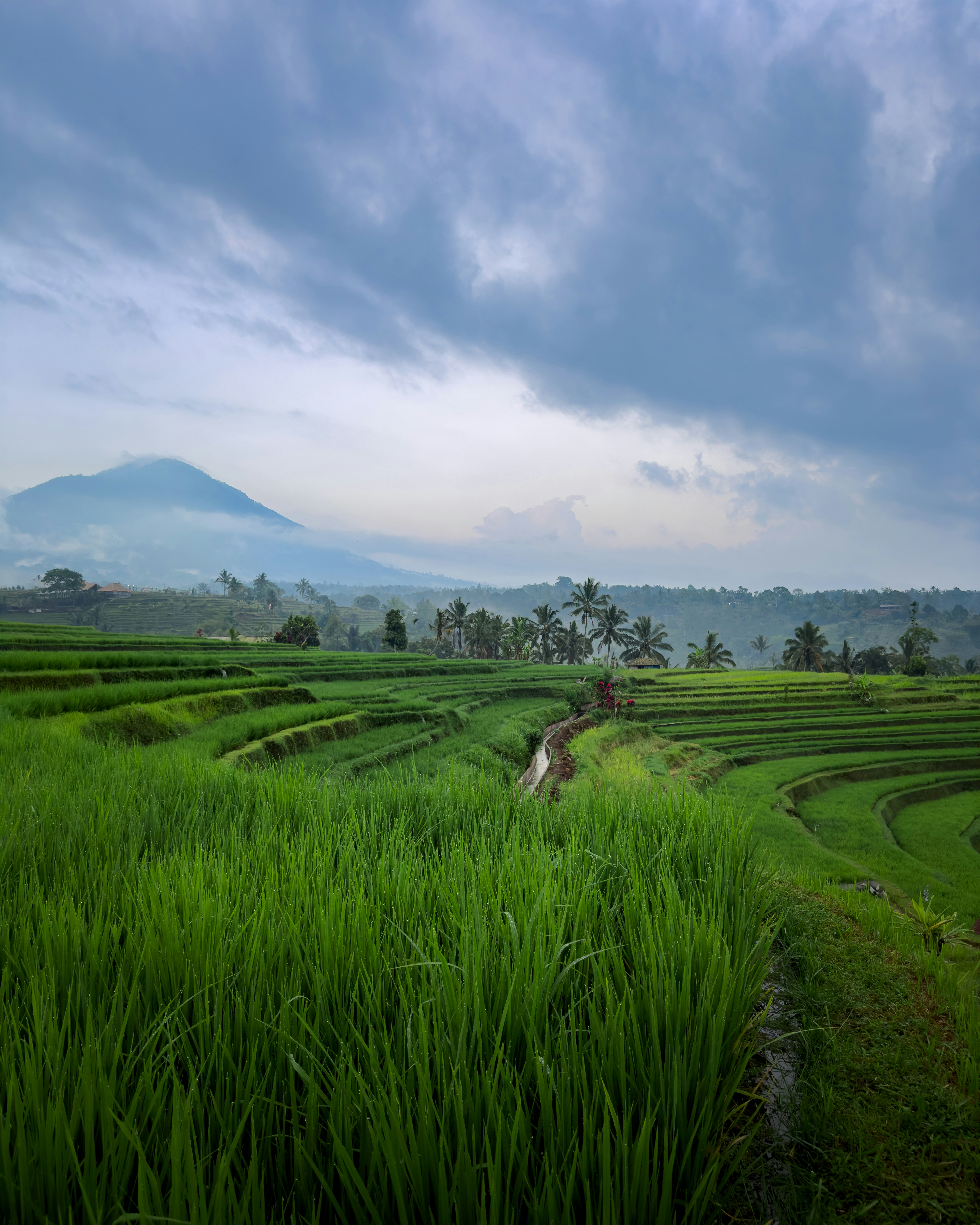 Photo by spensersembrat