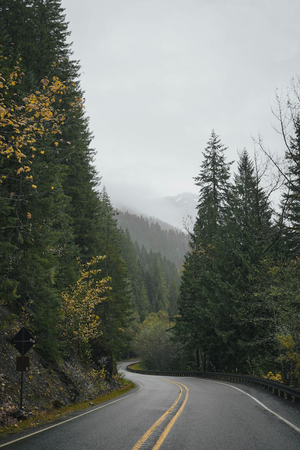 a winding road surrounded by trees in the mountains