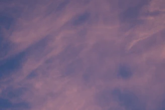 Illustration of files moving smoothly into a cloud server with a shield icon.
