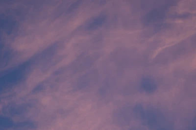 Illustration of files moving smoothly into a cloud server with a shield icon.
