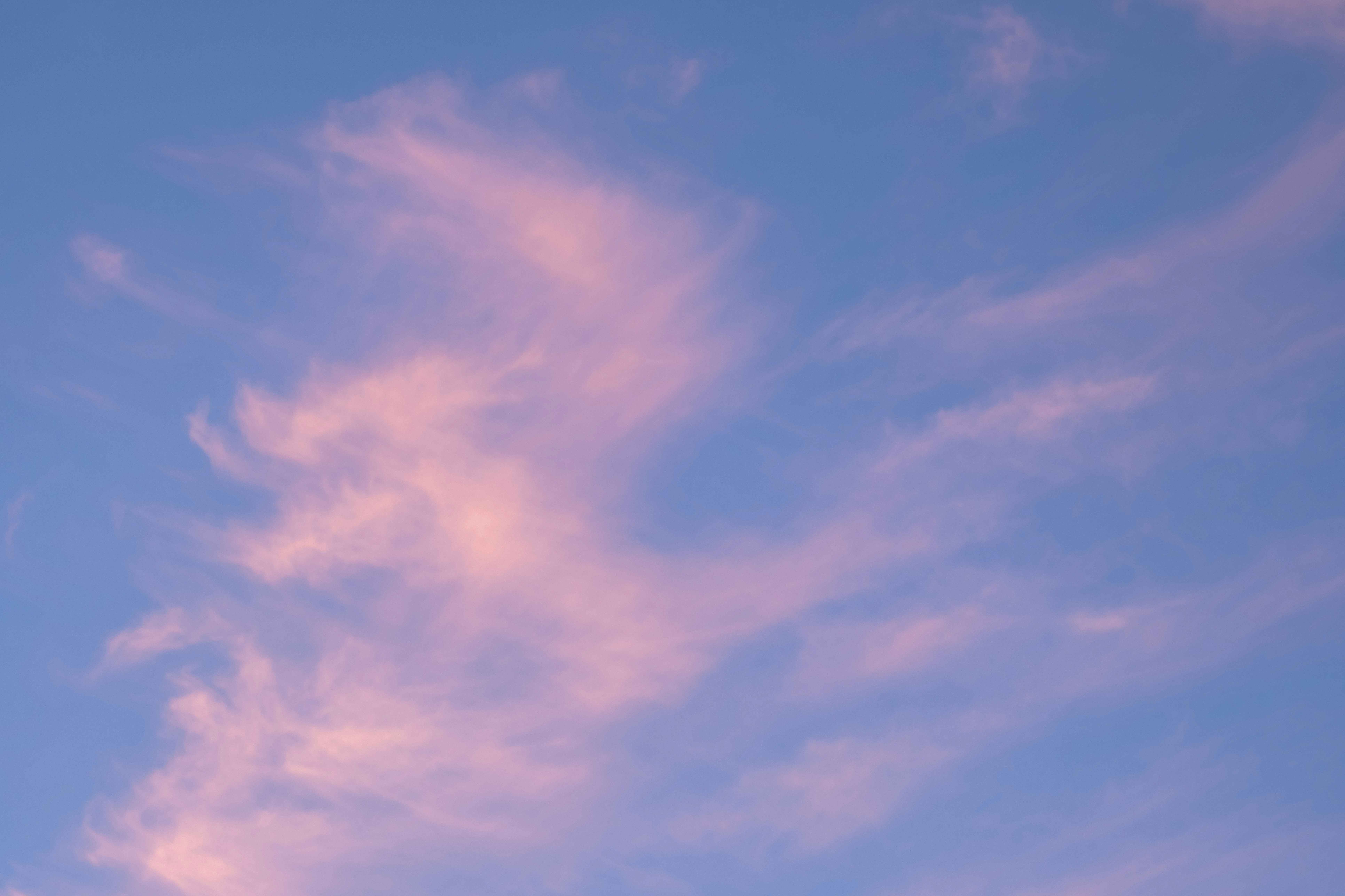 Photo by cestmoisheedy