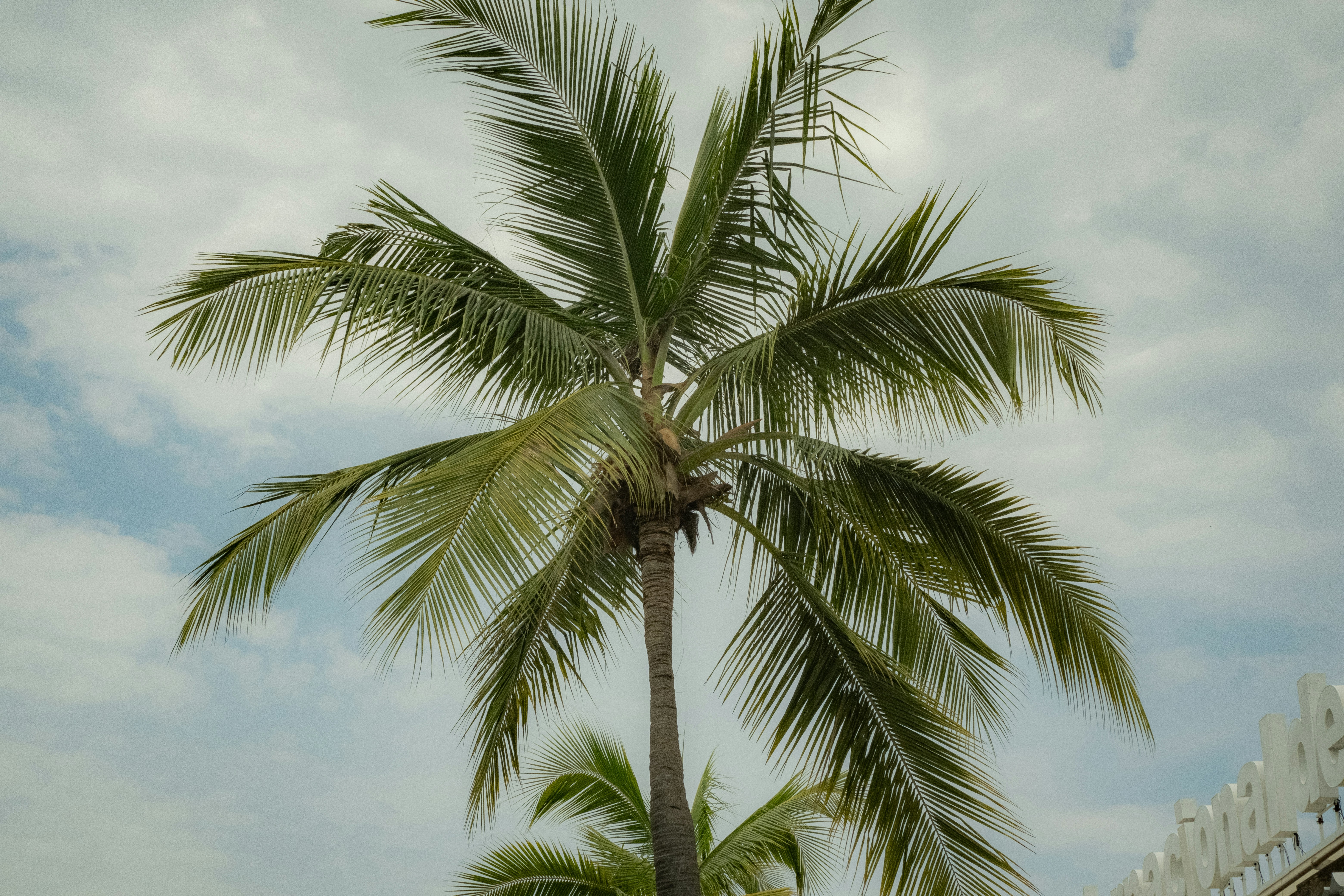 Photo by maxmeadowcroft