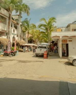 A lively street scene in Florida with tourists enjoying local shops and palm trees.